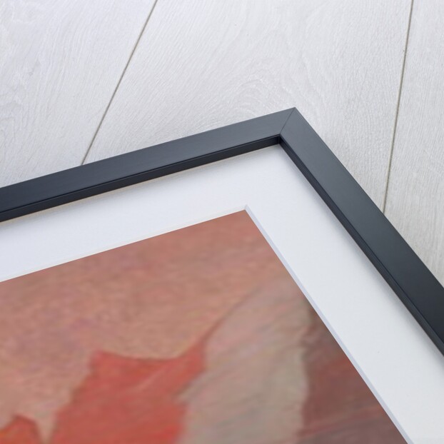 Memory of the National Festival, 1895 by Hippolyte Berteaux