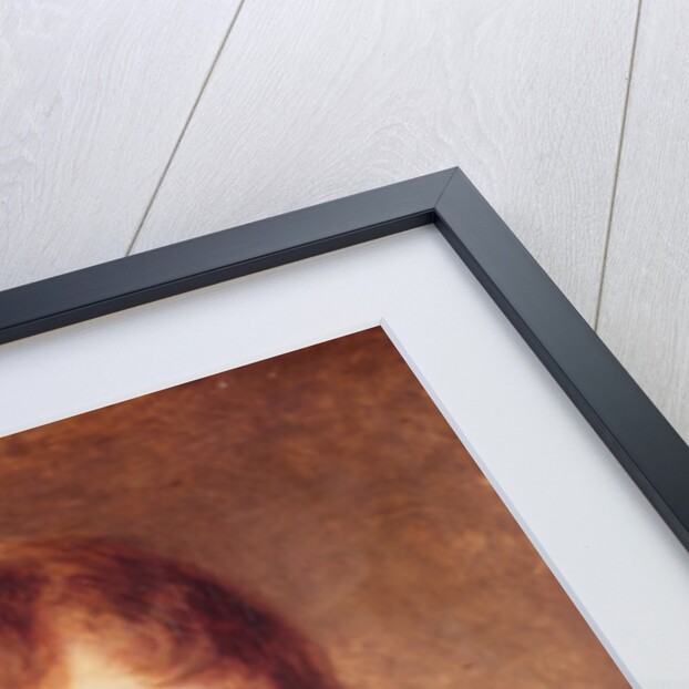 Portrait of Edouard Bertin by Jean Baptiste Greuze