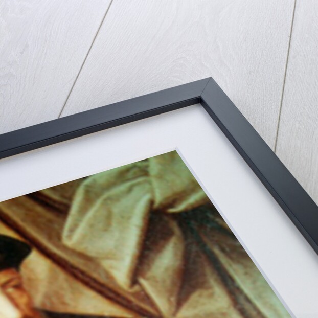 Portrait of Andrea Doria by Jan Massys or Metsys