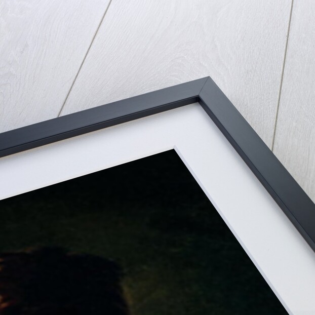 Jean Jacques Rousseau, 18th century by Allan Ramsay