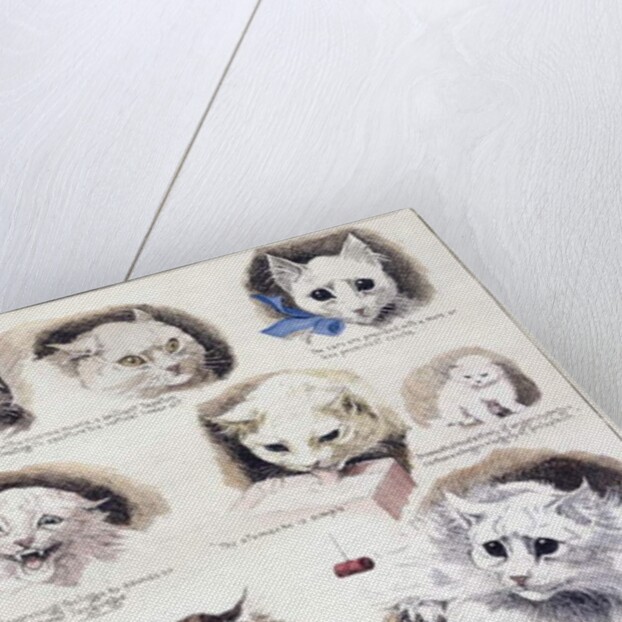 Plan of the Mazas Prison and cells for prisoners, Boulevard Mazas, Paris by French School