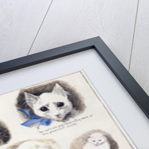 Plan of the Mazas Prison and cells for prisoners, Boulevard Mazas, Paris by French School