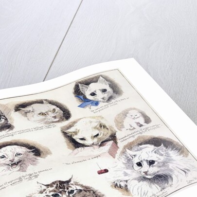 Plan of the Mazas Prison and cells for prisoners, Boulevard Mazas, Paris by French School