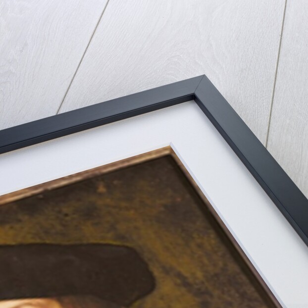 Portrait of a Scholar by Jan Gossaert