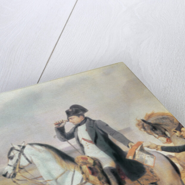 Detail of Napoleon from the Battle of Wagram, 6th July 1809, 1836 by Emile Jean Horace Vernet
