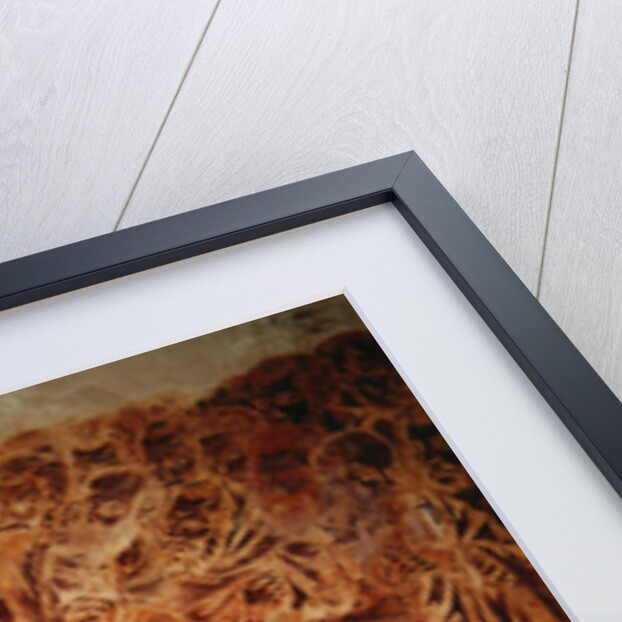 Crucifixion by Cimabue