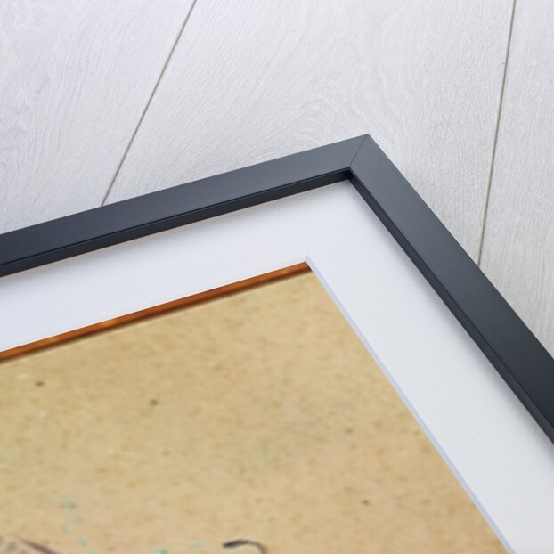 Profile of a woman, 1896 by Henri de Toulouse-Lautrec