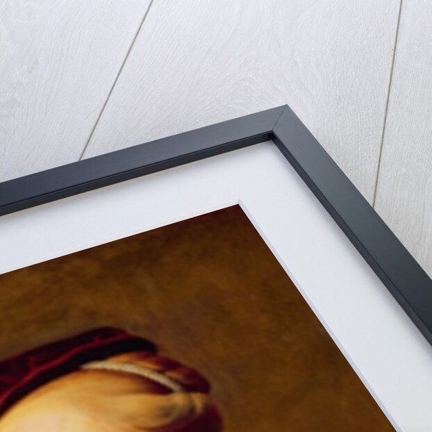 The Cittern Player by Cesar Boetius van Everdingen