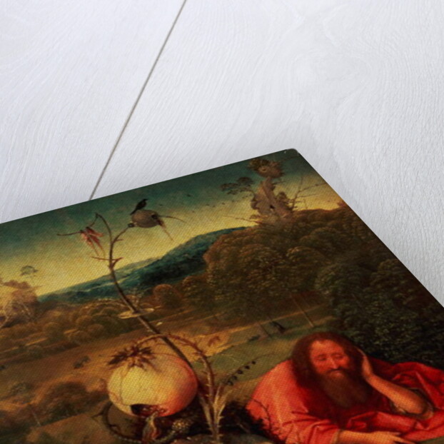 St. John the Baptist in Meditation by Hieronymus Bosch