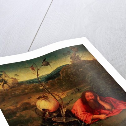 St. John the Baptist in Meditation by Hieronymus Bosch