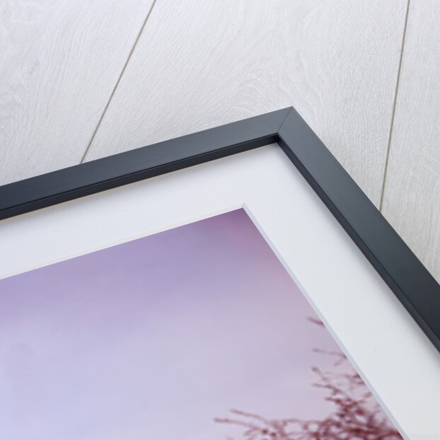 Gracanica Monastery by Anonymous