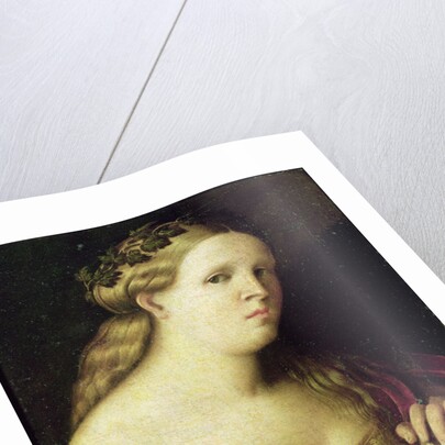 Portrait of a Poet by Jacopo Palma