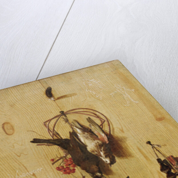 Trompe-l'oeil with redwings and a fieldfare, c.1660-70 by Melchior de Hondecoeter