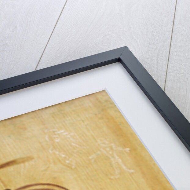 Trompe-l'oeil with redwings and a fieldfare, c.1660-70 by Melchior de Hondecoeter