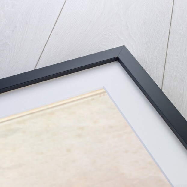 Law of suspects, the arrest on the street by the Federes by French School