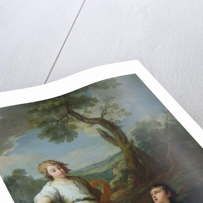 Capture of the fish in the River Tigris by the young Tobias, 1733 by Pierre Parrocel