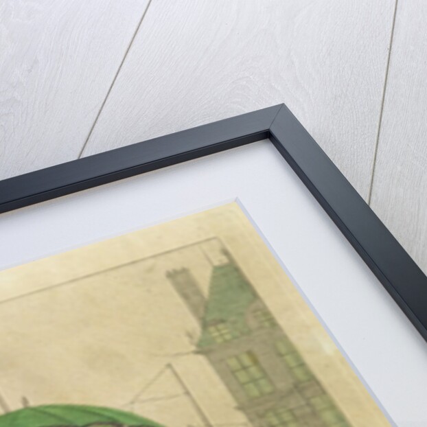 Disagreements over Umbrellas by French School