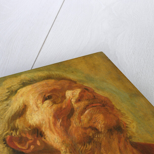 Study of a Head, or Head of an Apostle, c.1620 by Jacob Jordaens