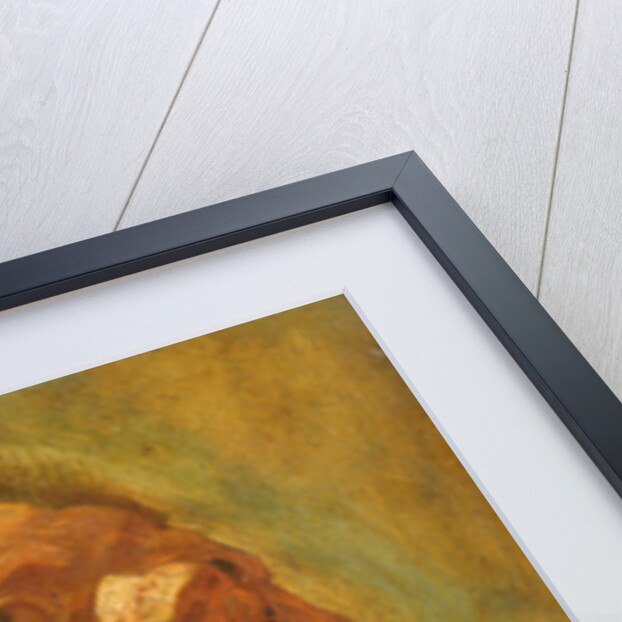 Study of a Head, or Head of an Apostle, c.1620 by Jacob Jordaens