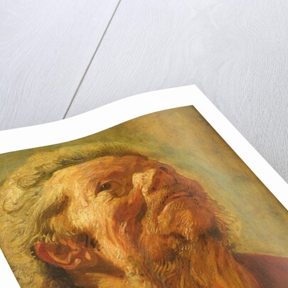 Study of a Head, or Head of an Apostle, c.1620 by Jacob Jordaens