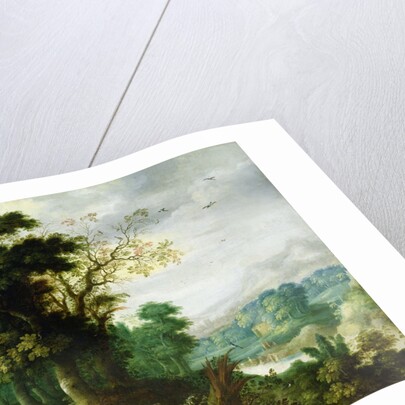 The Sermon of St. John the Baptist by Abraham Govaerts