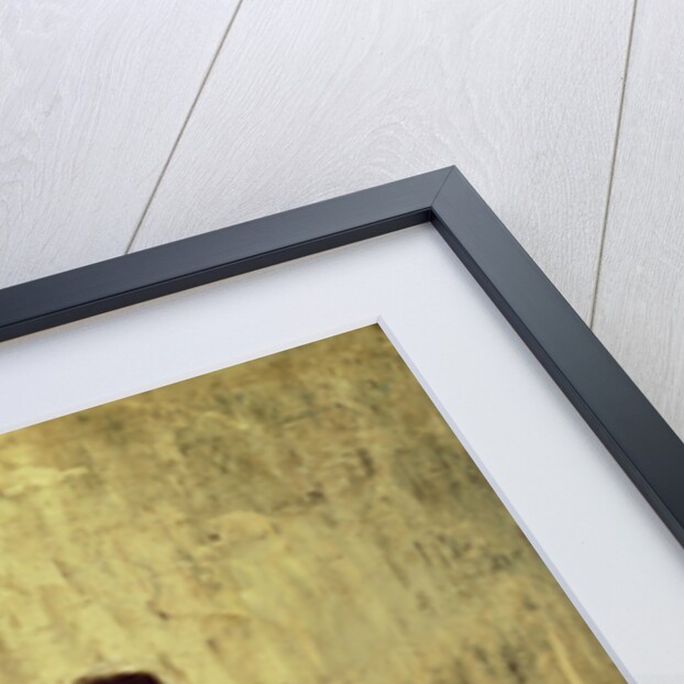 The Torture Victim by Eugenio Lucas Velazquez