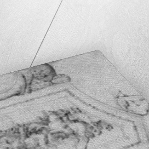 Tomb of a Prince by Jacopo Bellini