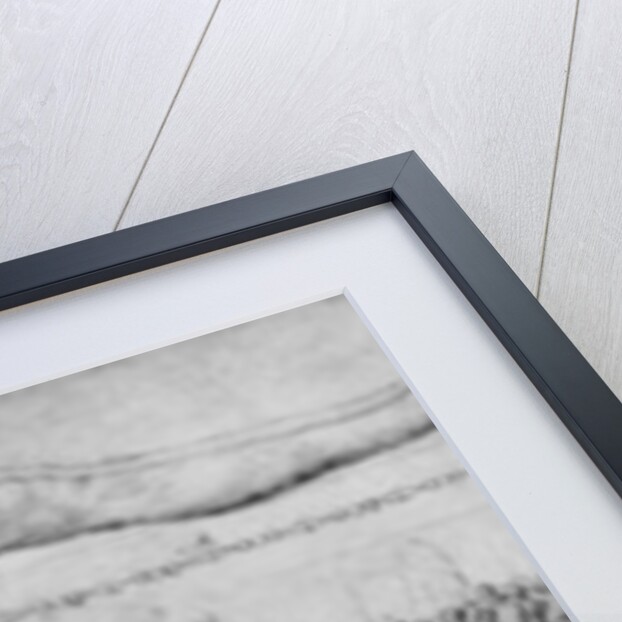 Tomb of a Prince by Jacopo Bellini