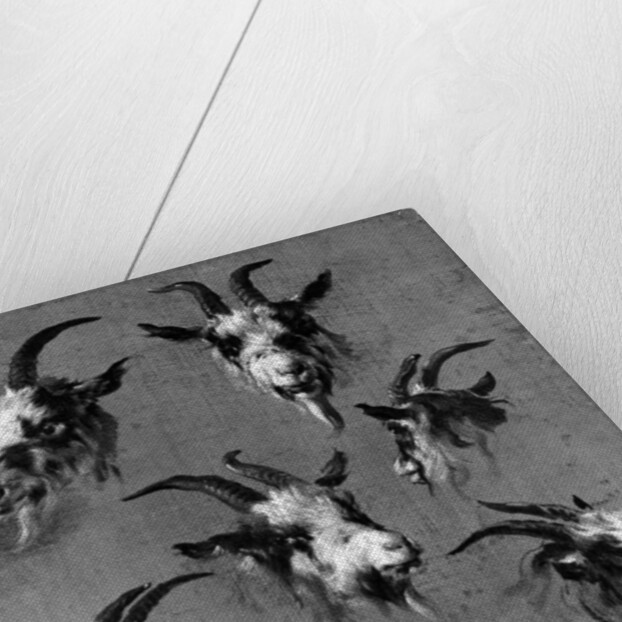 Six studies of goat heads by Nicolaes Pietersz. Berchem