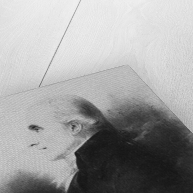 Portrait of Antonio Canova by Anne Louis Girodet de Roucy-Trioson