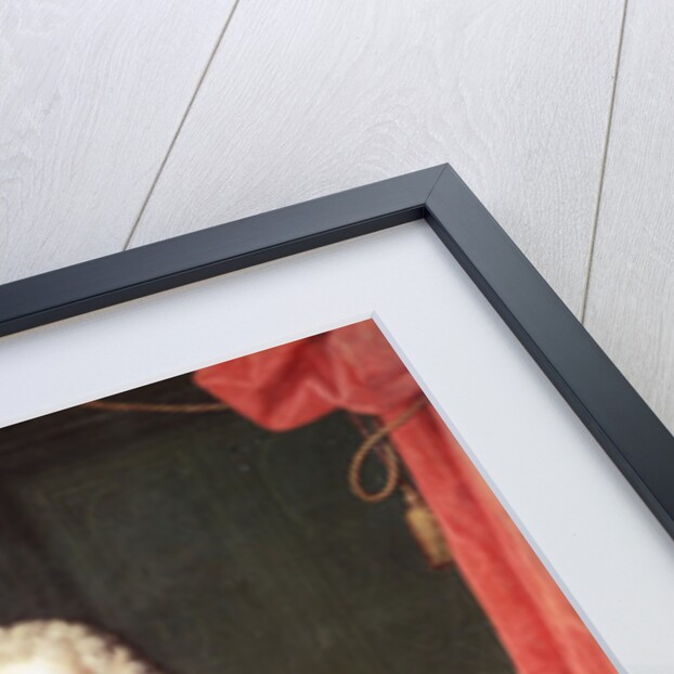 Portrait of Louis I of Spain, 1717 by Michel-Ange Houasse