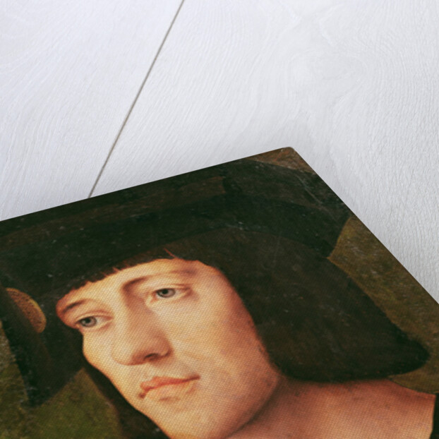 Portrait of a Knight of the Golden Fleece by Flemish School