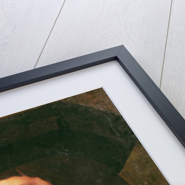 Portrait of a Knight of the Golden Fleece by Flemish School