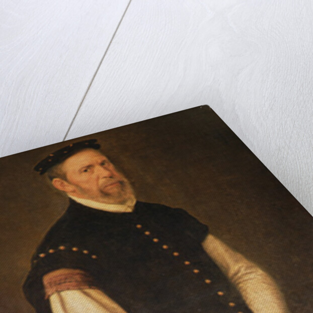 Perejon, Jester to the Count of Benavente and Duke of Alba, c.1559-61 by Giacomo Antonio Moro