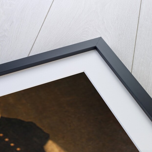 Perejon, Jester to the Count of Benavente and Duke of Alba, c.1559-61 by Giacomo Antonio Moro