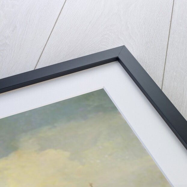 The Betrothal of the Venetian Doge to the Adriatic Sea, c.1739-40 by (1697-1768) Canaletto