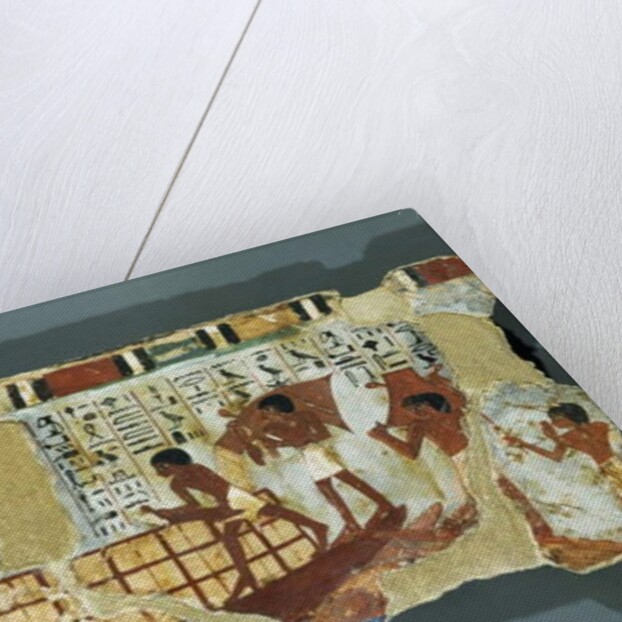 Loading grain by Egyptian 18th Dynasty