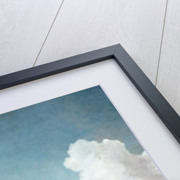 The Swing by Jean-Honore Fragonard