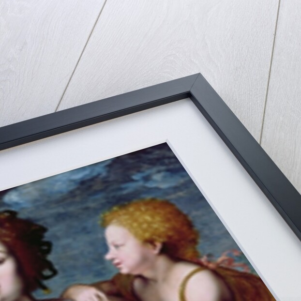 Leda and the Swan by Vincent Sellaer