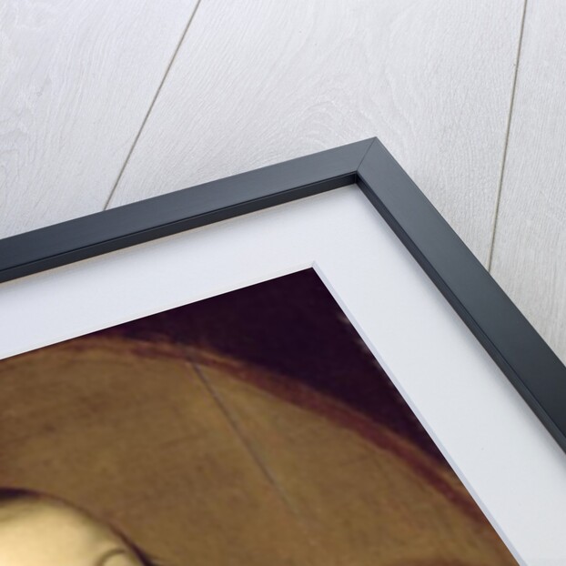 Portrait of a Young Girl, 1651 by C. Hastenburg