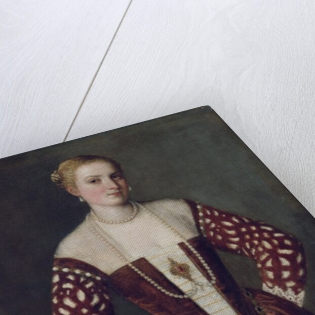 Portrait of a Woman by (1528-88) Veronese