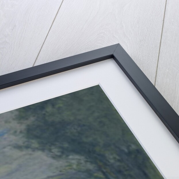 Swallows by Edmond-Francois Aman-Jean