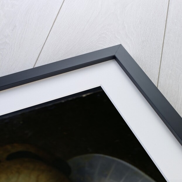 Portrait of a Woman by Dutch School