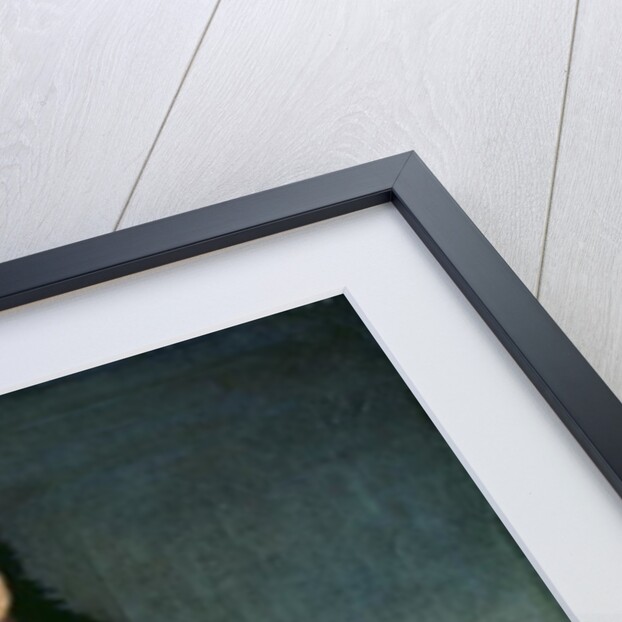 Mariana Waldstein, c.1797-1800 by Francisco Jose de Goya y Lucientes