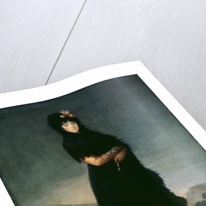 Mariana Waldstein, c.1797-1800 by Francisco Jose de Goya y Lucientes