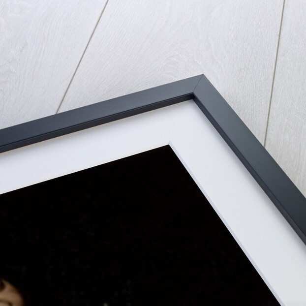 The Sick Bacchus, 1591 by Michelangelo Merisi da Caravaggio