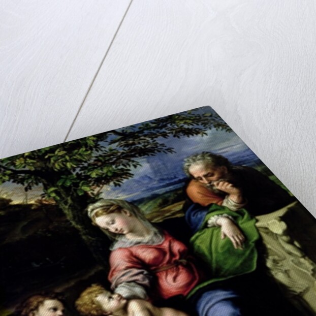 The Holy Family of the Oak Tree, c.1518 by Raphael