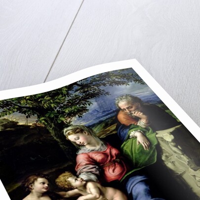 The Holy Family of the Oak Tree, c.1518 by Raphael