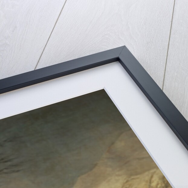 The Snowstorm, 1786-87 by Francisco Jose de Goya y Lucientes