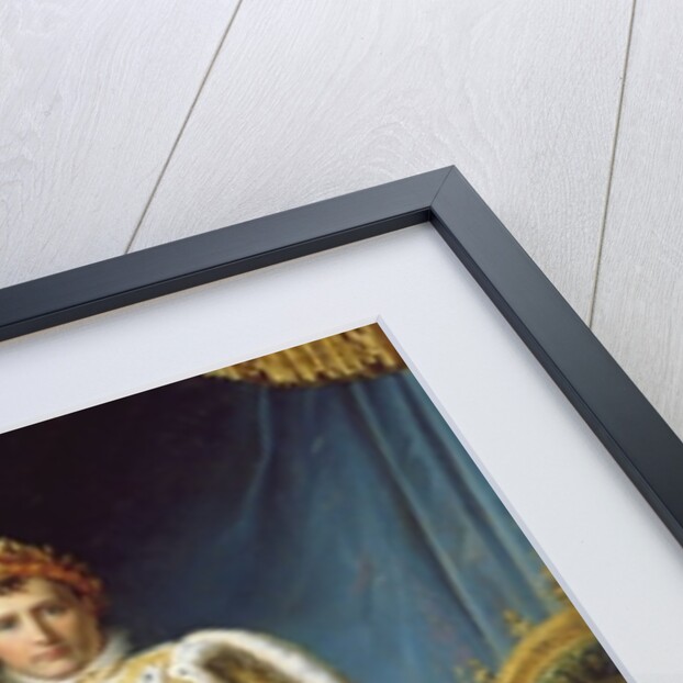 Napoleon I in his coronation robe, c.1804 by Francois Pascal Simon Baron Gerard